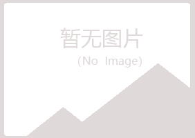 香港山柳化学有限公司